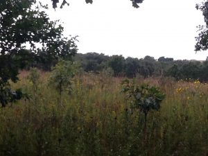 img_0047