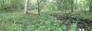 CERA River Recording Location